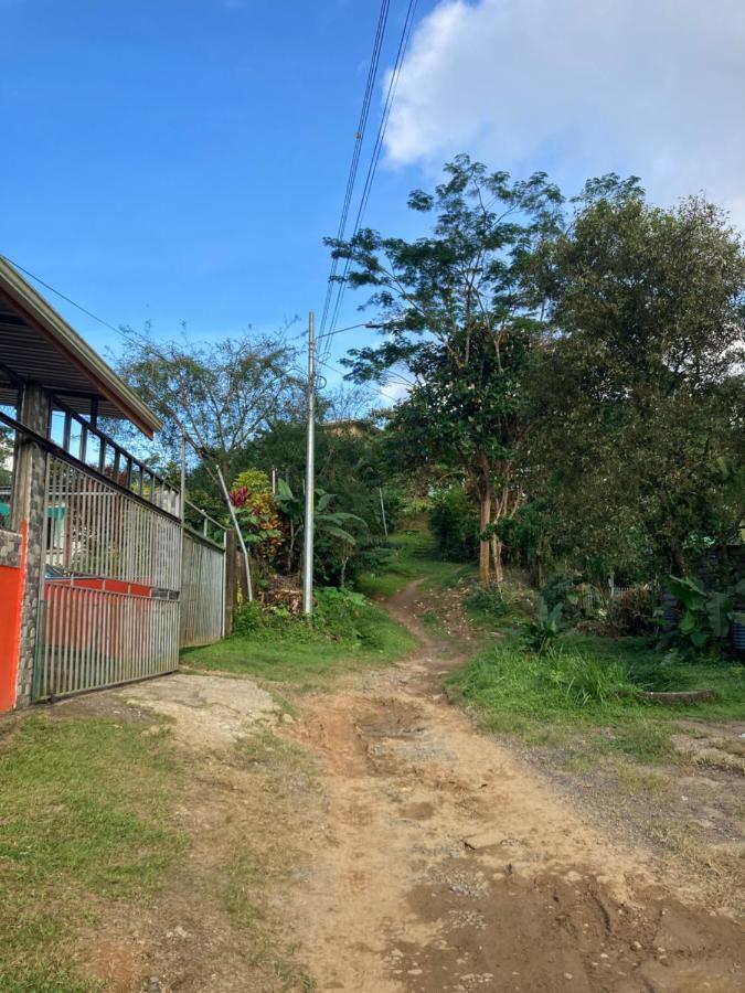 Pez Espada Tours y Cabinas Drake Bay Bagian luar foto