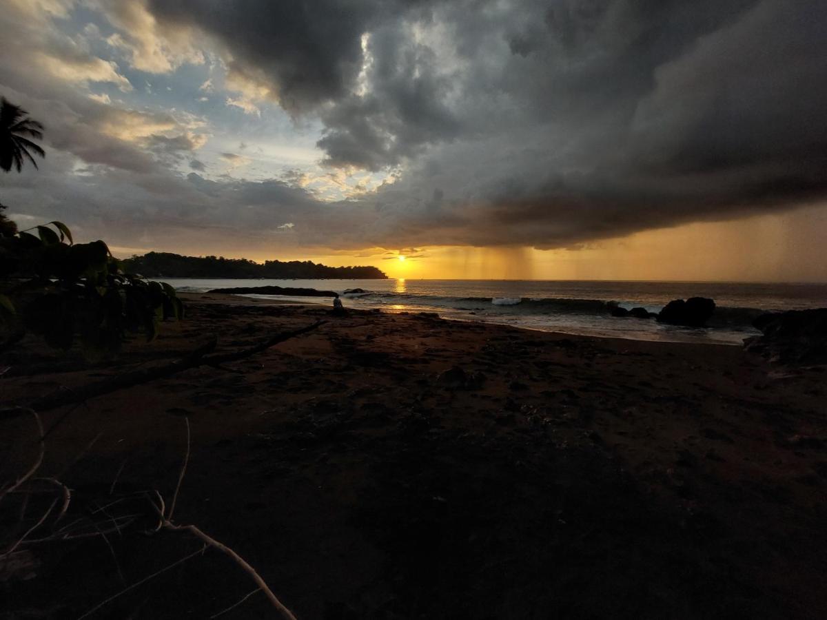 Pez Espada Tours y Cabinas Drake Bay Bagian luar foto